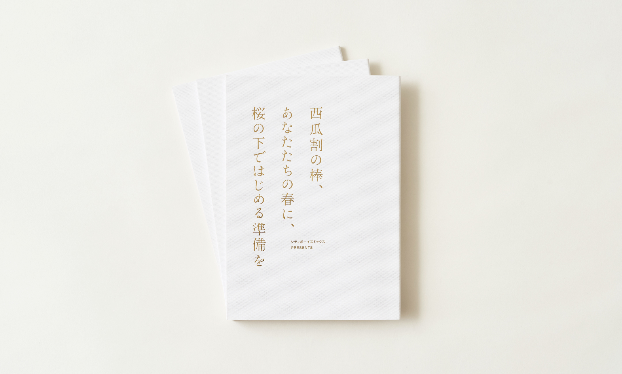 シティボーイズミックス PRESENTS 2013 『西瓜割の棒、あなたたちの春に、桜の下ではじめる準備を』