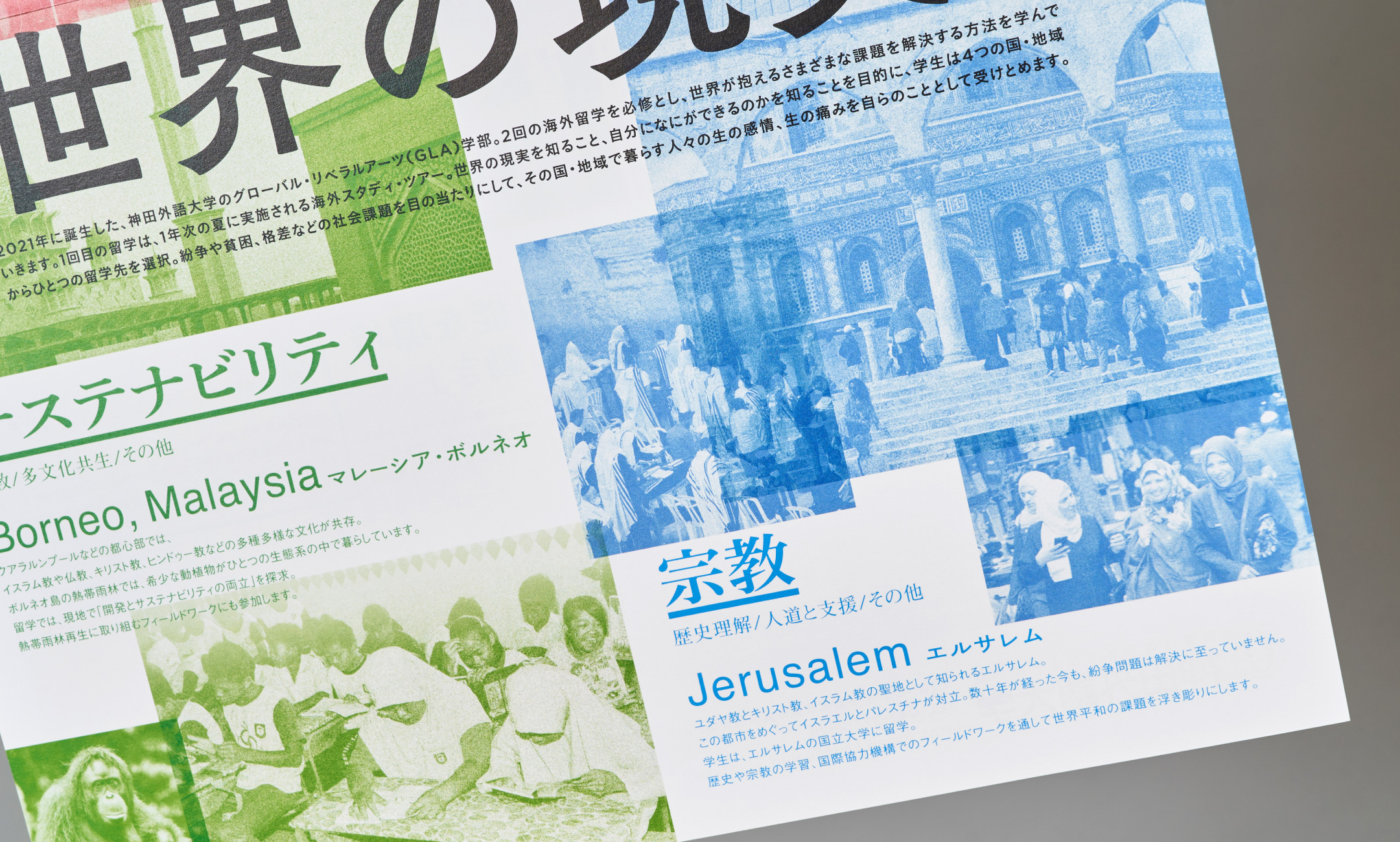 神田外語大学GLA学部フライヤー