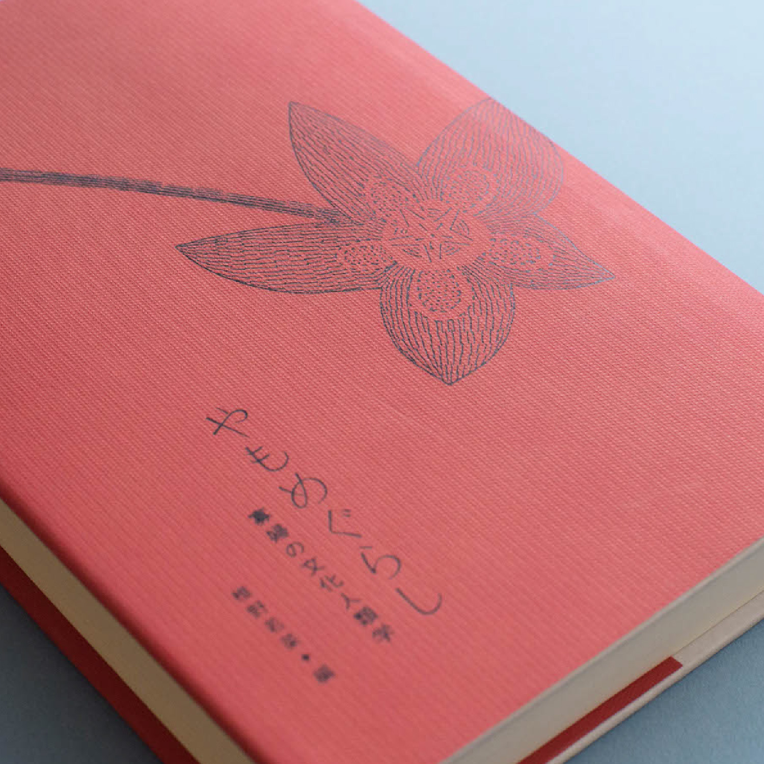 椎野若菜「やもめぐらし」